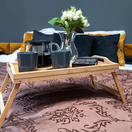 公寓 Prestige Piotrkowska With Parking, Aircon *