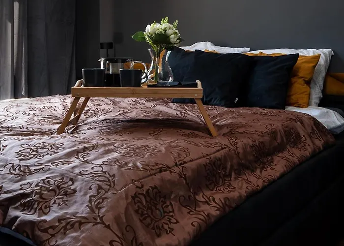 Prestige Piotrkowska With Parking, Aircon *